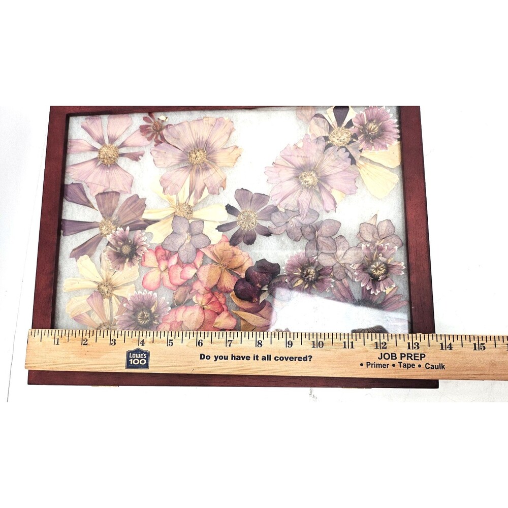 Vtg Pressed Flower Art Floral Framed Botanical - Picture 3 of 4